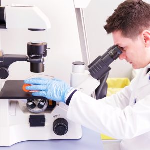 La ricerca richiede tempo